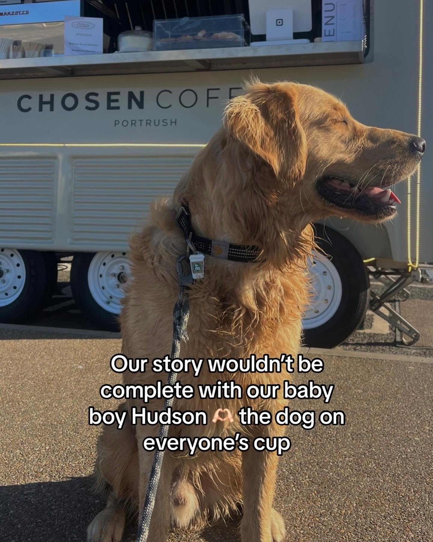 Story slide 5: Hudson the golden retriever in front of the van